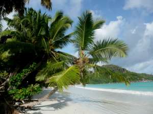 Seychelles Praslin Anse Volbert